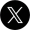 X-Icon